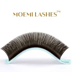 OUTLET Rzęsy FOREST Moemi Lashes Skręt M – Brązowe Rzęsy z Zieloną Poświatą (Black Green) do Przedłużania