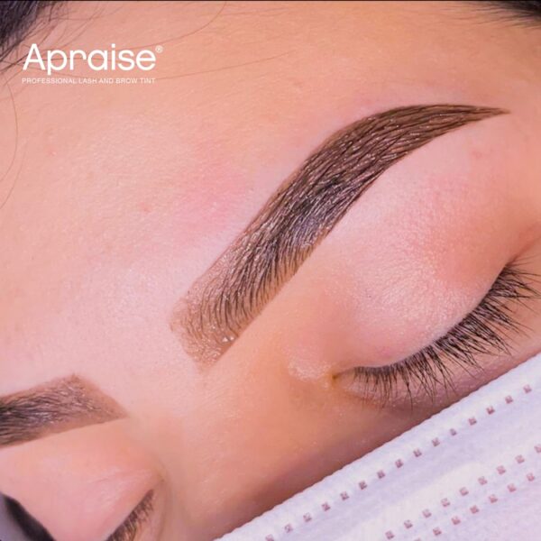 Apraise - Profesjonalna Farba | Henna Żelowa do Brwi i Rzęs 20 ml
