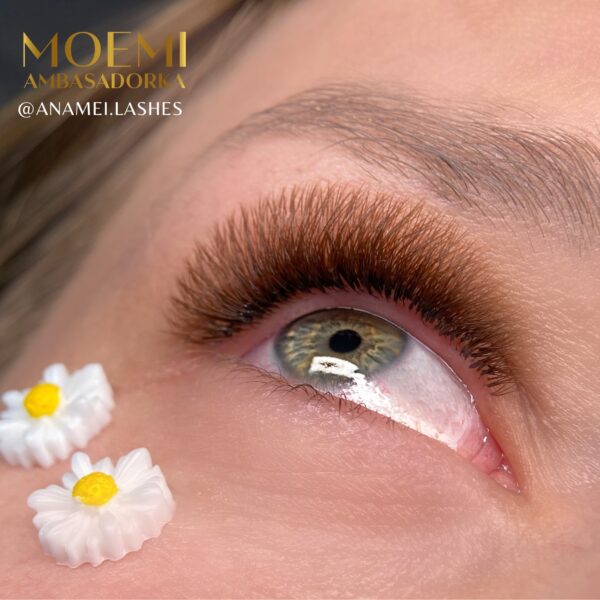 Rzęsy Jasny Brąz MEDIUM BROWN Moemi Lashes skręt M – Rzęsy Jasno Brązowe do Przedłużania